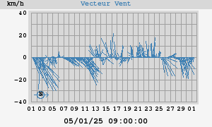 Wind Vector