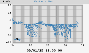 Wind Vector